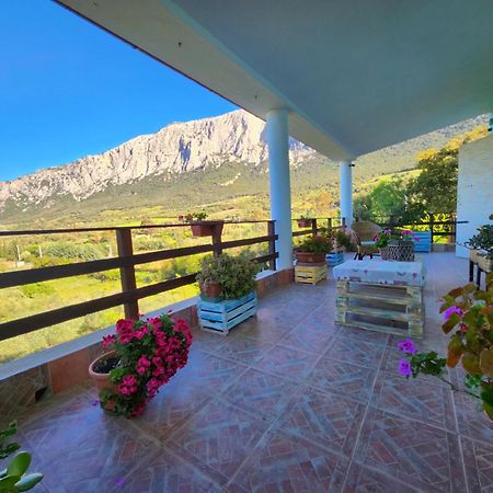 Panoramic House Villa Олиена Екстериор снимка