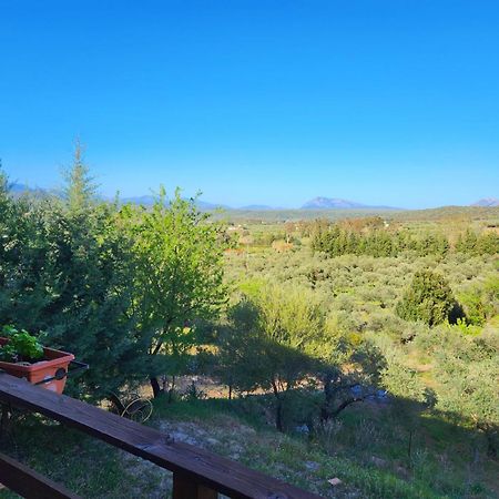 Panoramic House Villa Олиена Екстериор снимка
