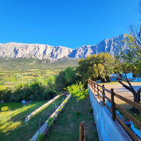 Panoramic House Villa Олиена Екстериор снимка
