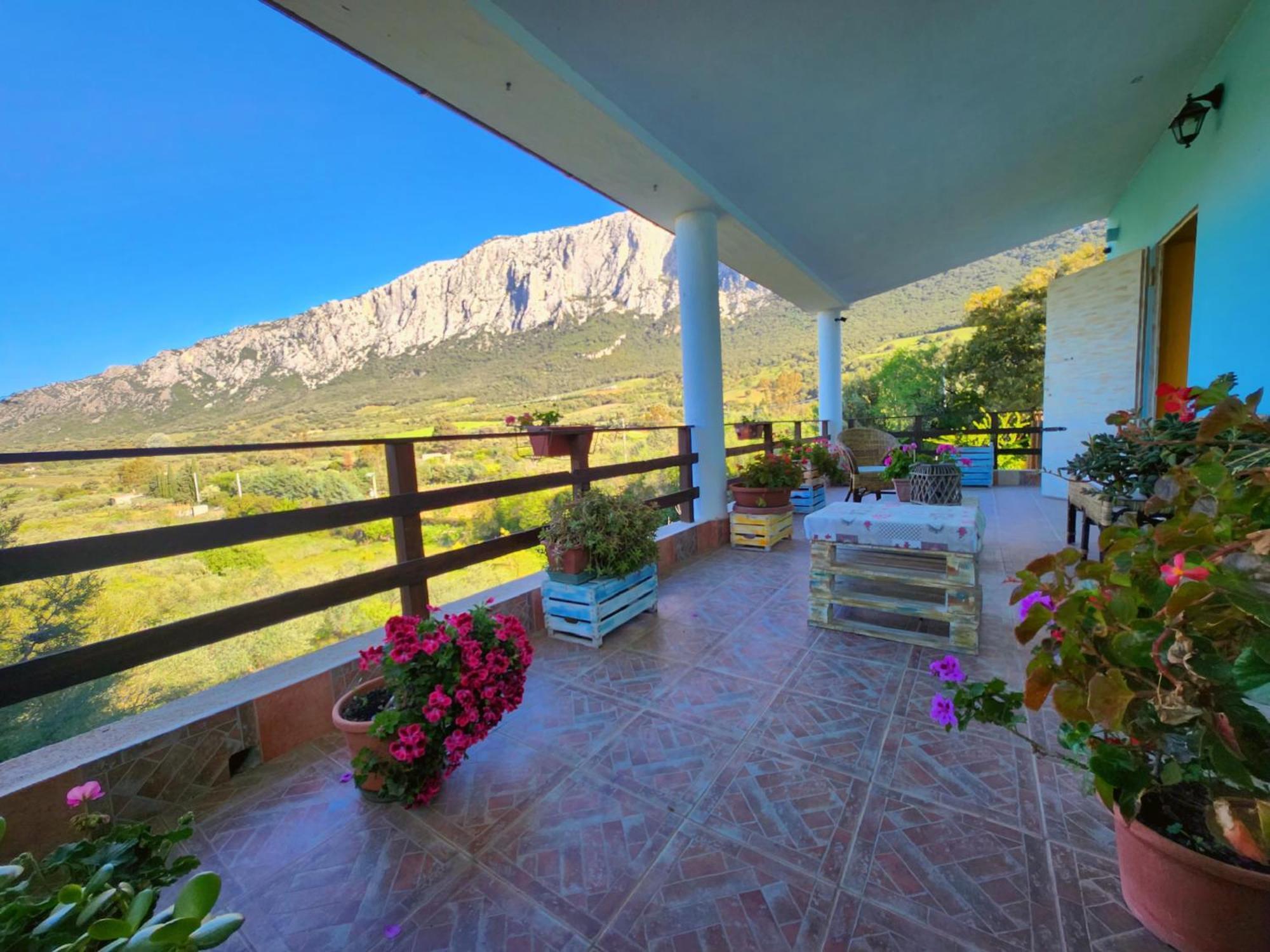 Panoramic House Villa Олиена Екстериор снимка