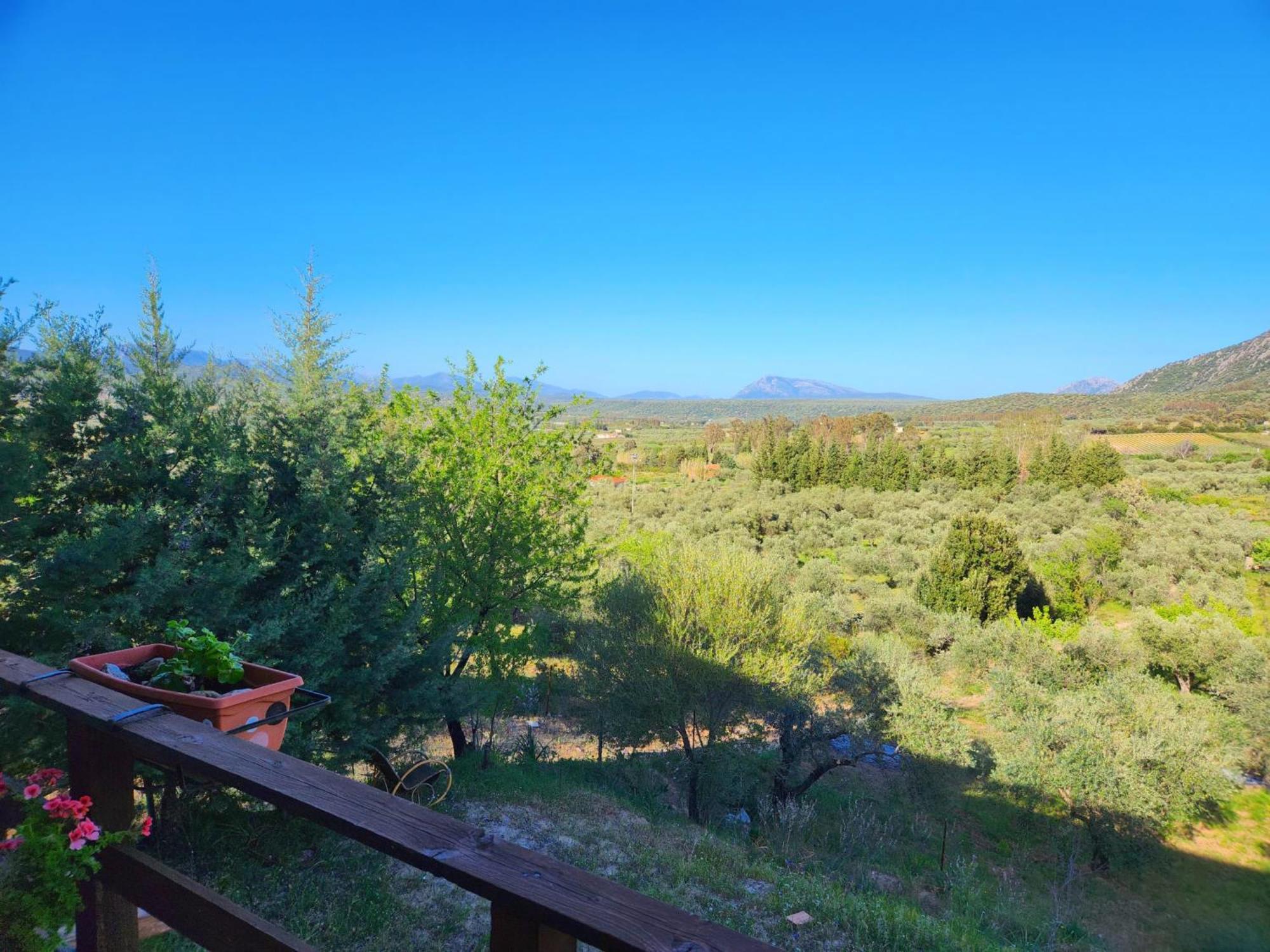 Panoramic House Villa Олиена Екстериор снимка