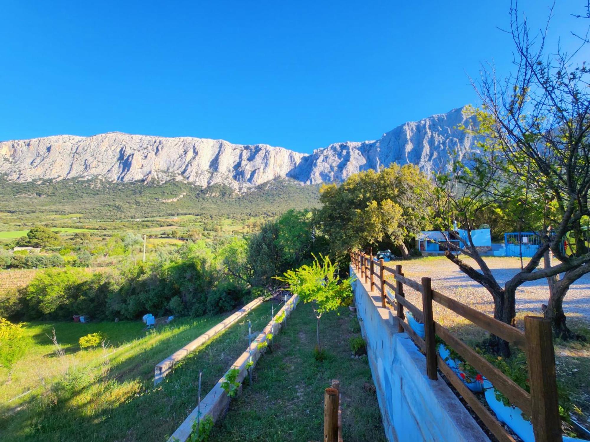 Panoramic House Villa Олиена Екстериор снимка