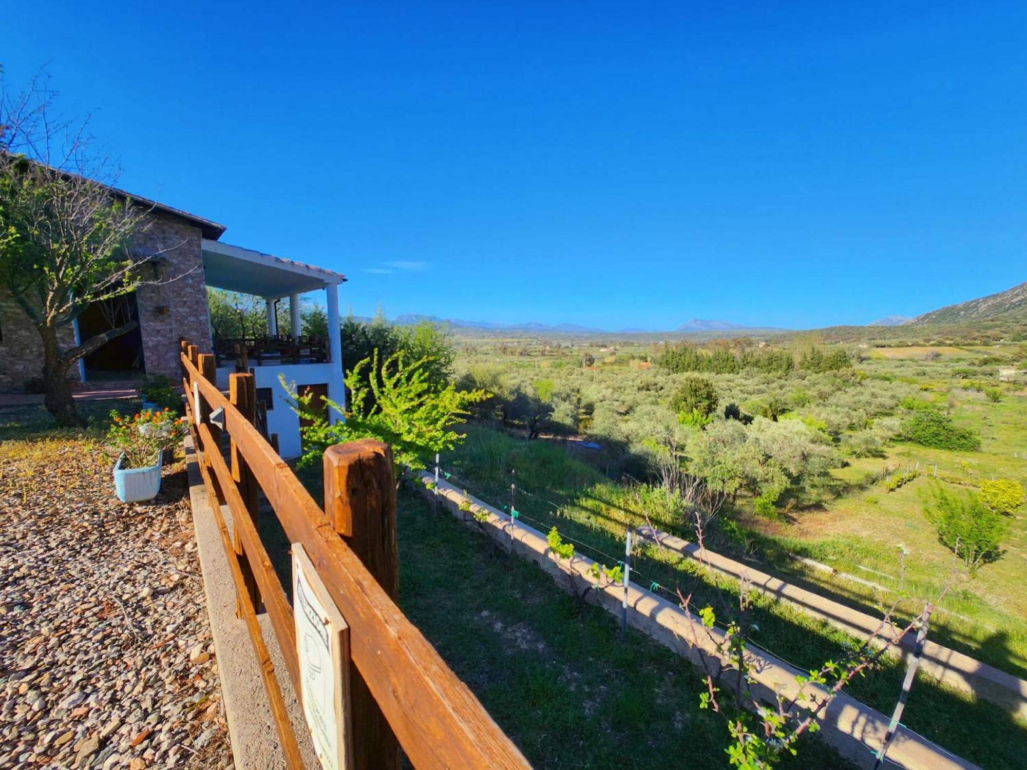 Panoramic House Villa Олиена Екстериор снимка