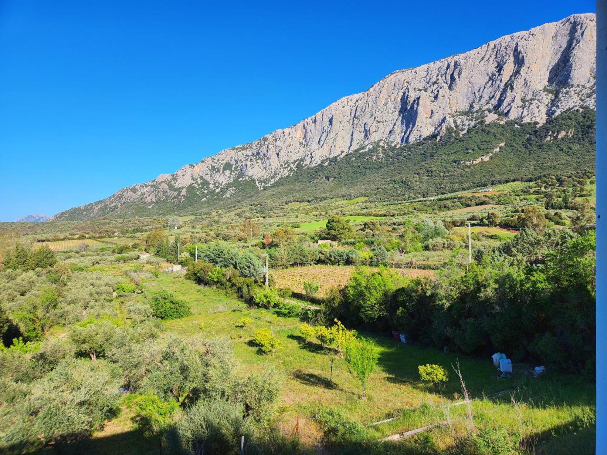 Panoramic House Villa Олиена Екстериор снимка