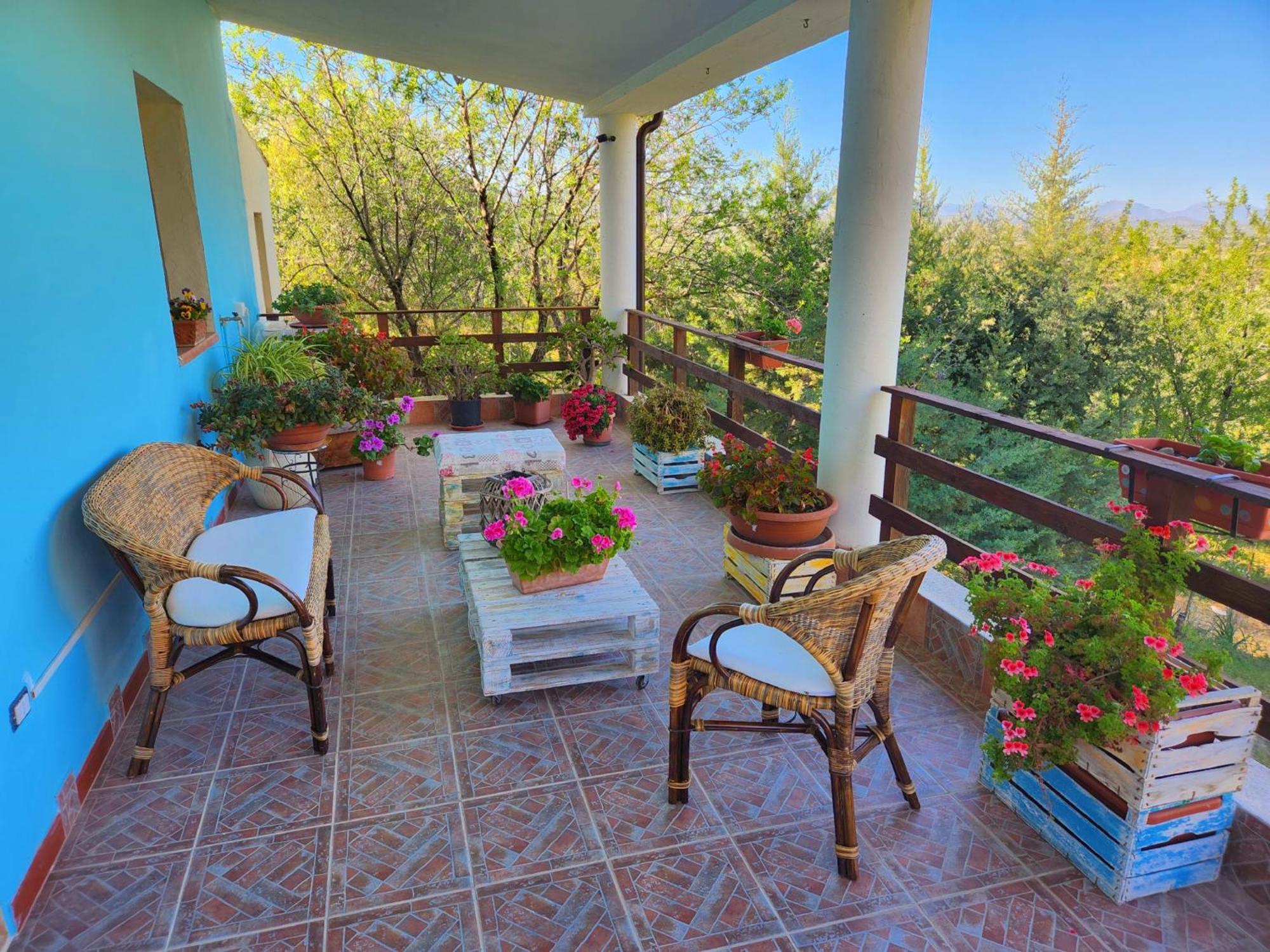 Panoramic House Villa Олиена Екстериор снимка