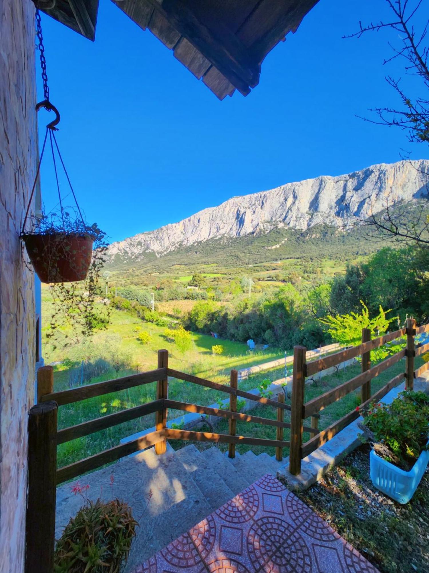Panoramic House Villa Олиена Екстериор снимка