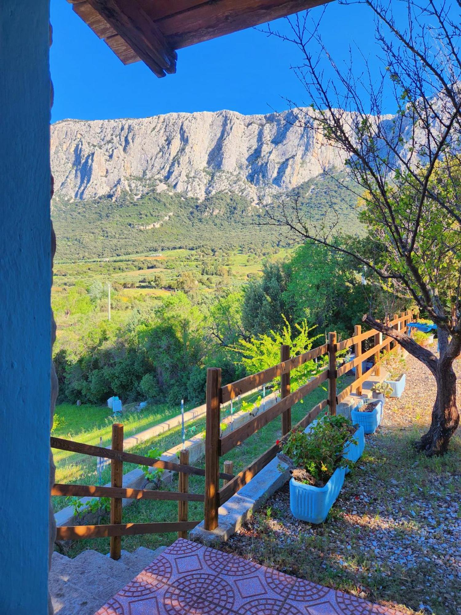 Panoramic House Villa Олиена Екстериор снимка