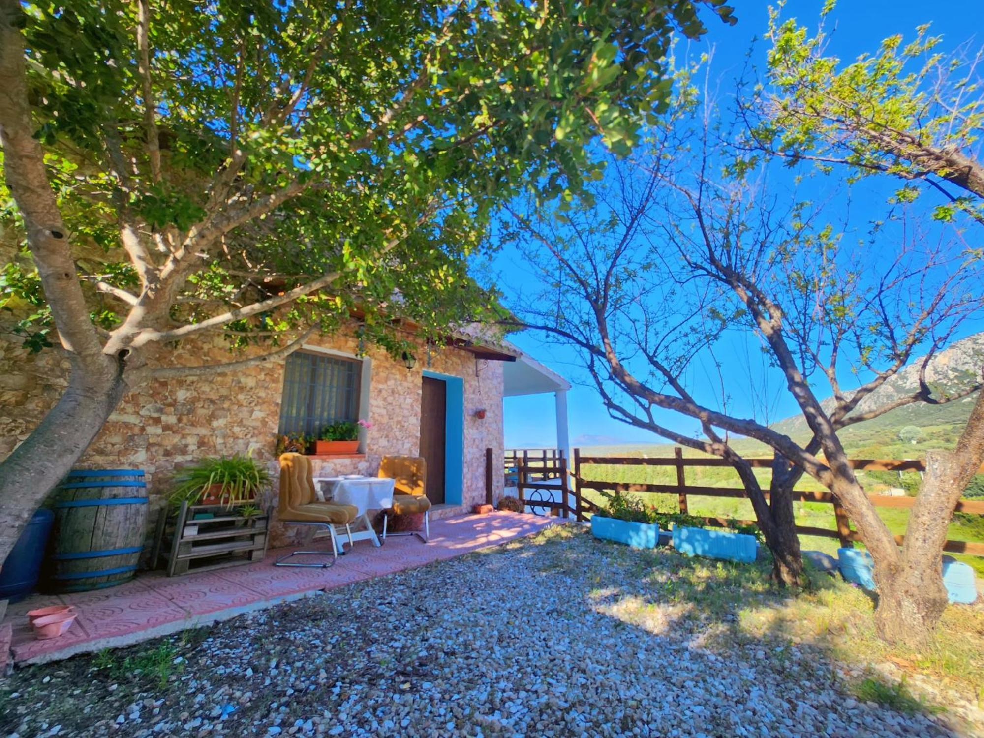 Panoramic House Villa Олиена Екстериор снимка