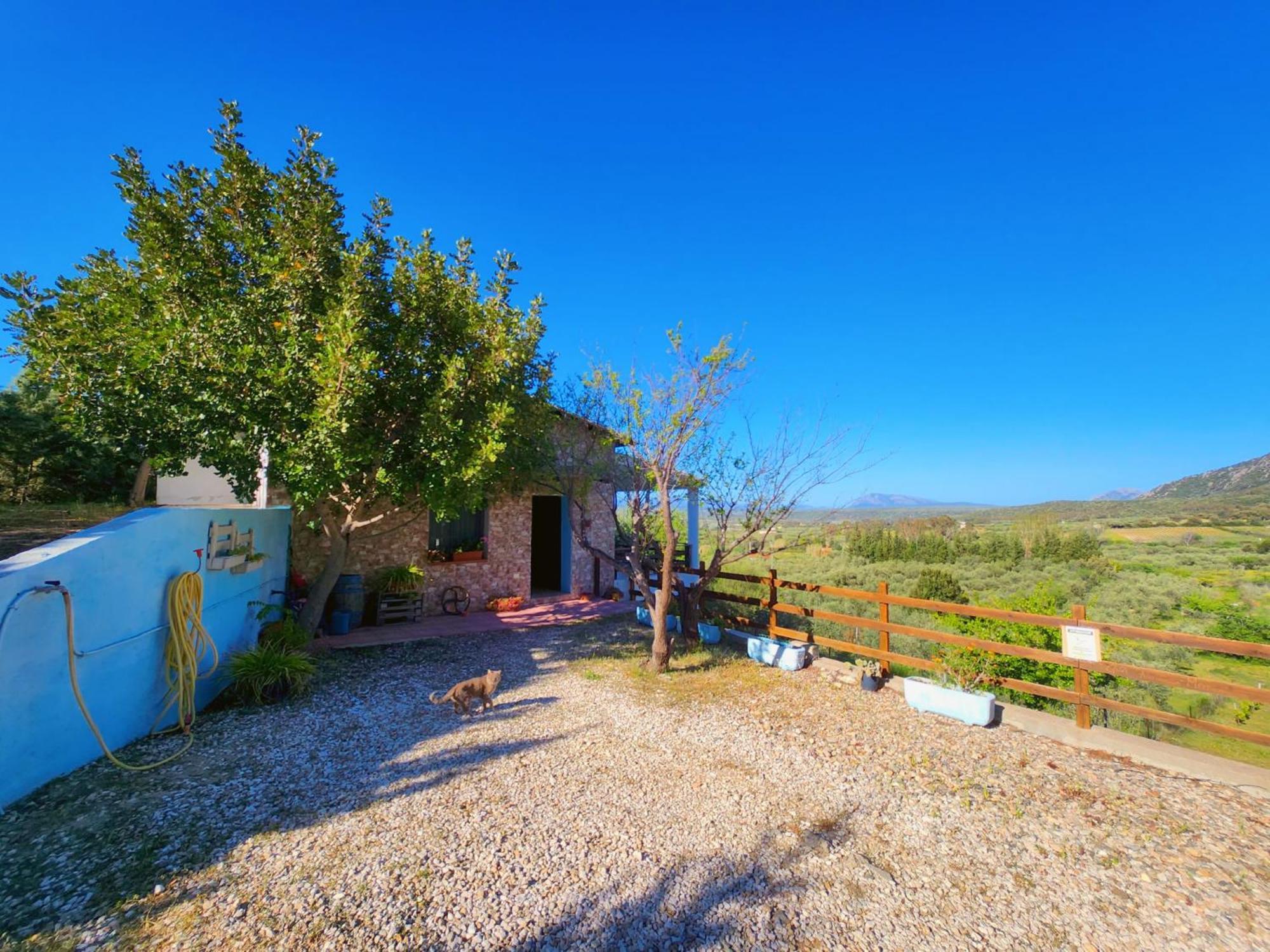 Panoramic House Villa Олиена Екстериор снимка